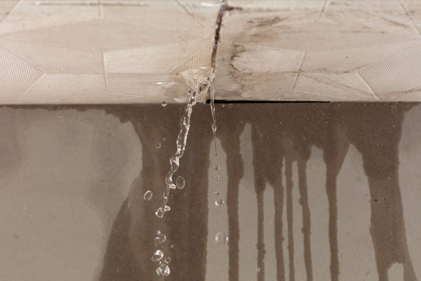 Professional Sewage Cleanup technician working in Marble Hill, MO